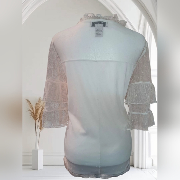 Chic Sheer Ruffle Sleeve Blouse - Picture 2 of 3